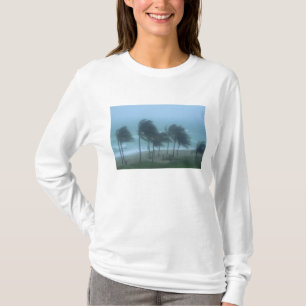 Miami Beach, Florida, hurricane winds lashing T-Shirt
