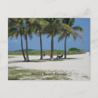 Miami Beach Florida Postcard