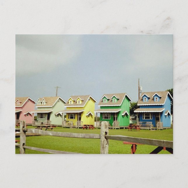 Miami Color Postcard (Front)