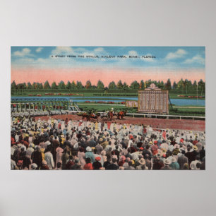 Miami, FL - View of Hialeah Park with Horse Poster