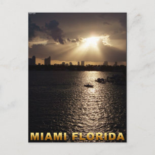 Miami, Florida Postcard