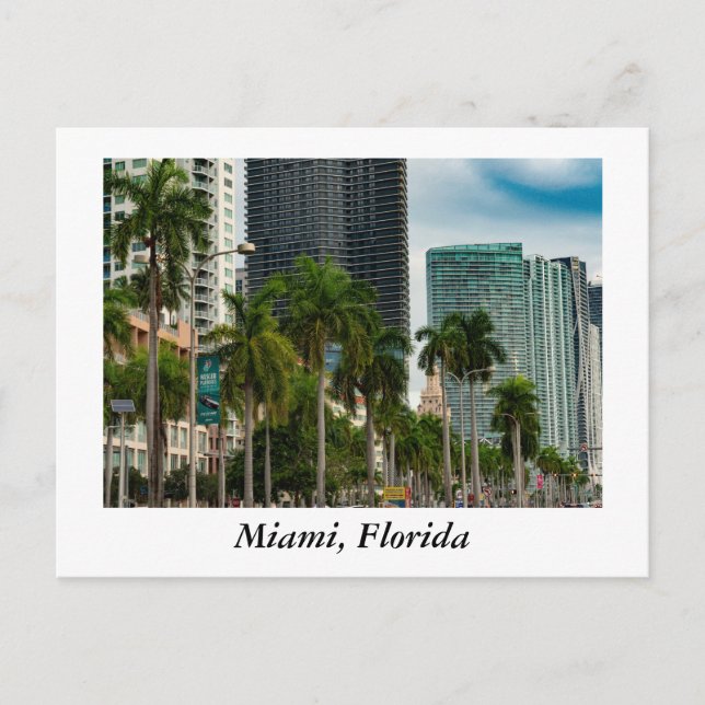 Miami Florida Postcard (Front)
