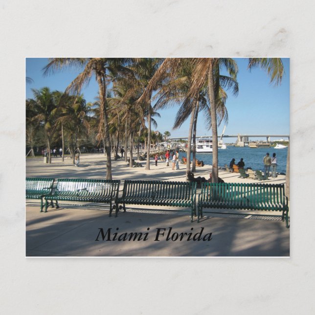Miami Florida Postcard (Front)