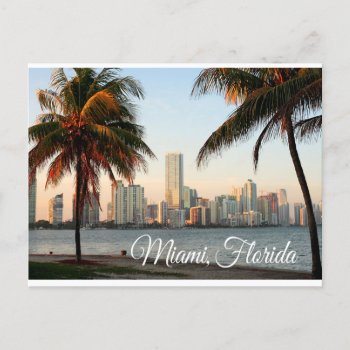 Miami Florida Skyline And Harbor At Night- Usa Postcard by merrydestinations at Zazzle