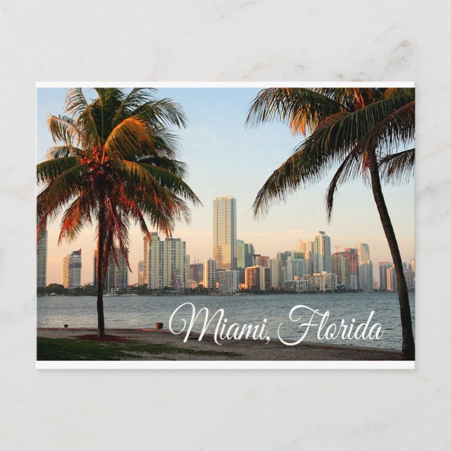 Miami Florida Skyline and Harbor At Night- USA Postcard (Front)