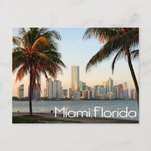Miami Florida Skyline and Harbor At Night- USA Postcard