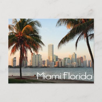 Miami Florida Skyline And Harbor At Night- Usa Postcard by LoveandSerenity at Zazzle