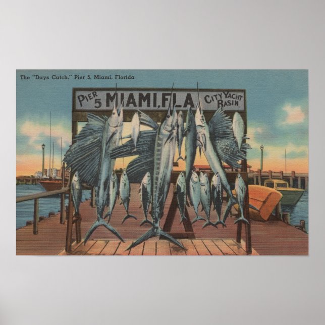 Miami, Florida - View of Pier 5 with Caught Fish Poster (Front)