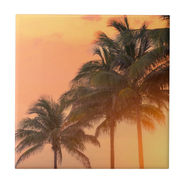 Miami Palms Ceramic Tile (Front)