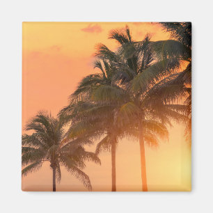 Miami Palms Magnet