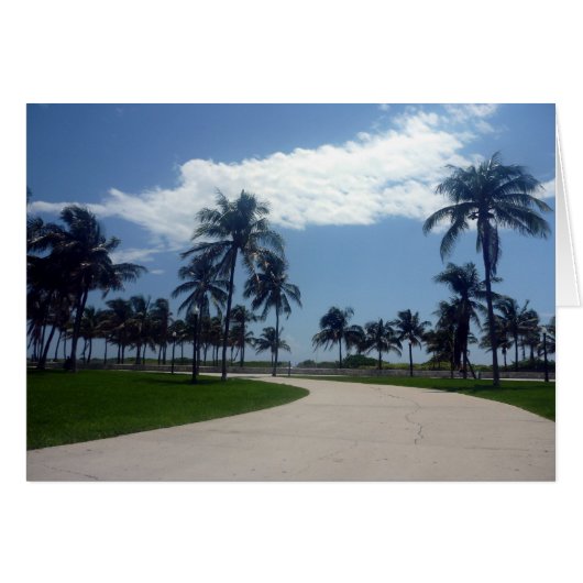 miami path (Front Horizontal)