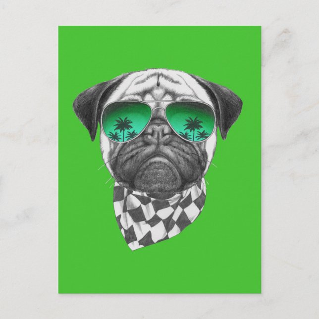 Miami Pug Postcard (Front)