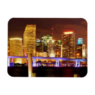 Miami skyline at night, Florida Magnet
