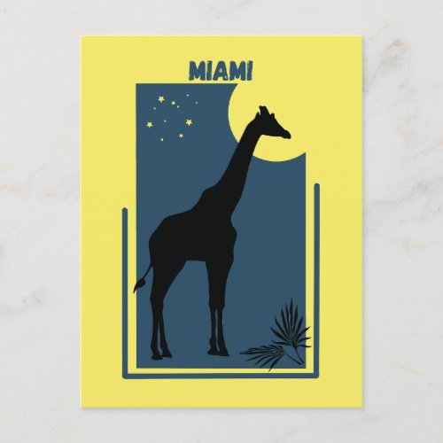 Miami Zoo Florida Vintage Giraffe Postcard