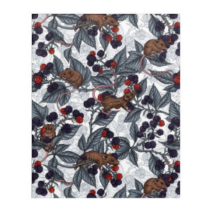 Mice and blackberries on white acrylic print