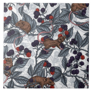 Mice and blackberries on white ceramic tile
