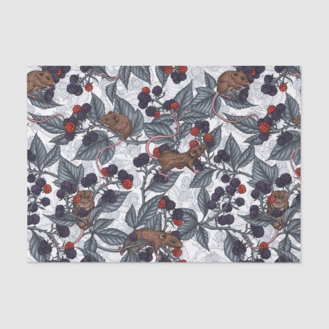 Mice and blackberries on white tissue paper (Front)