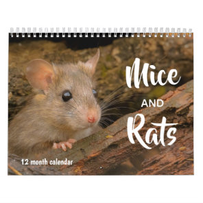 Mice and Rats 2024 Calendar