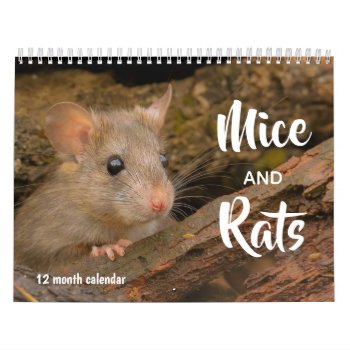 Mice And Rats 2024 Calendar by MiscellanyShop at Zazzle