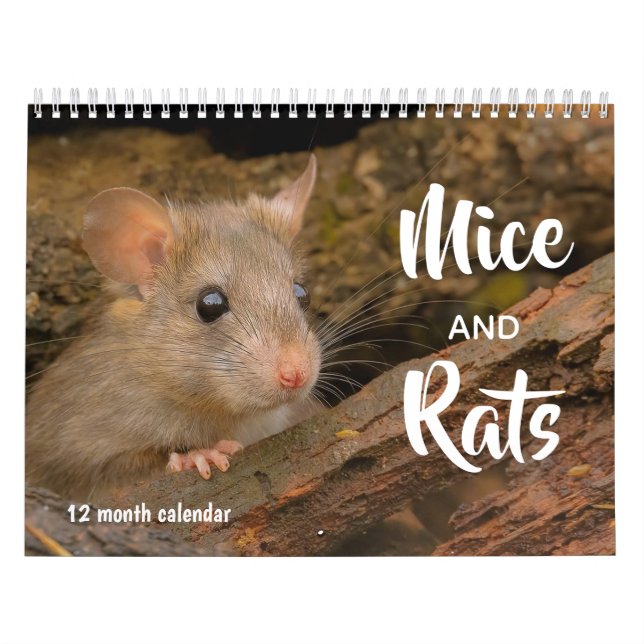 Mice and Rats 2026 Calendar (Cover)