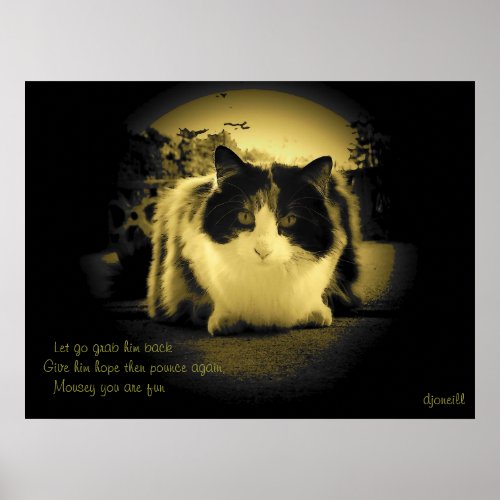 Mice Are Fun Peep Hole Kitty Haiku Poster