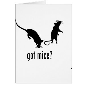 Mice Cards