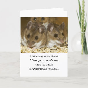 Mice Friends Birthday Card