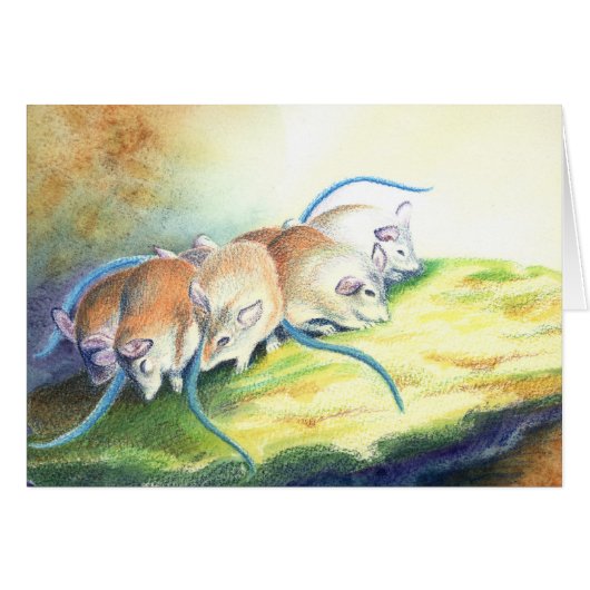 Mice, mouse cards (Front Horizontal)