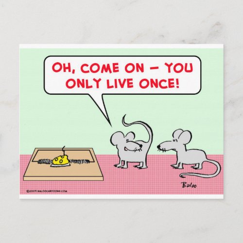 mice mousetrap only live once postcard