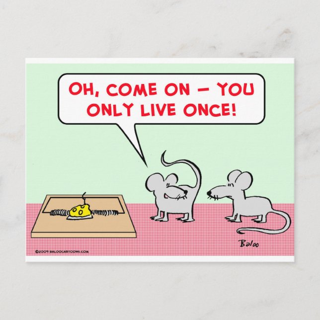 mice mousetrap only live once postcard (Front)