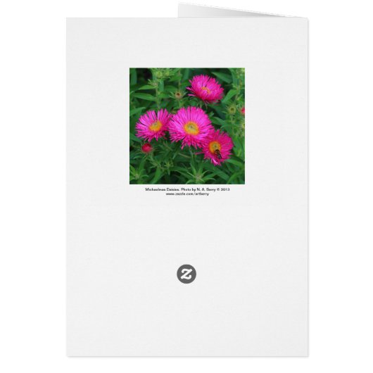 Michaelmas Daisies (Back)