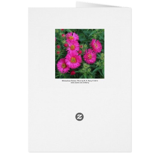 Michaelmas Daisies (Back)