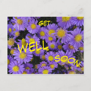 Michaelmas Daisy Cust. Get Well Soon Postcard