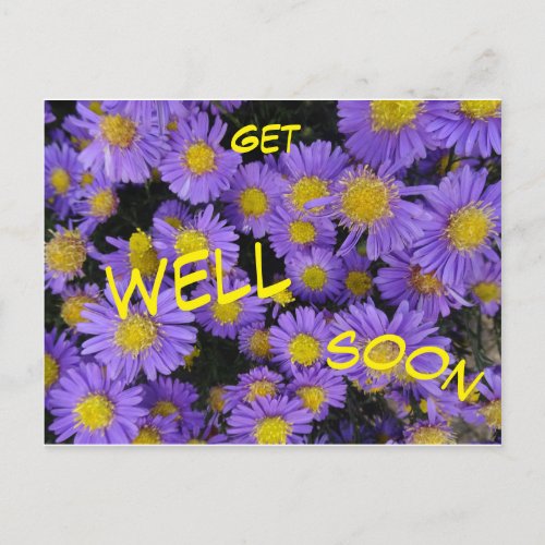 Michaelmas Daisy Cust Get Well Soon Postcard