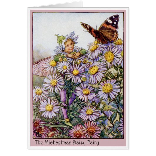 Michaelmas Daisy Fairy Cards (Front)