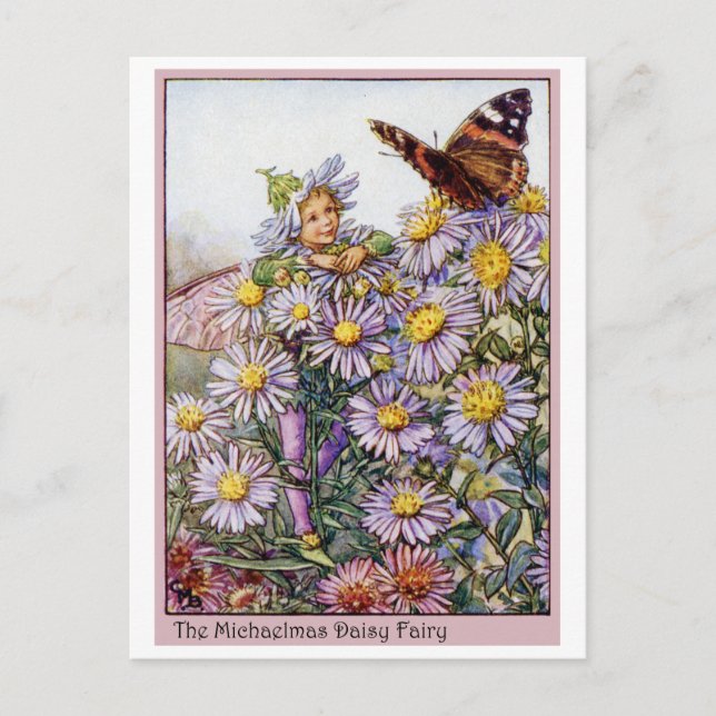 Michaelmas Daisy Fairy Postcard (Front)