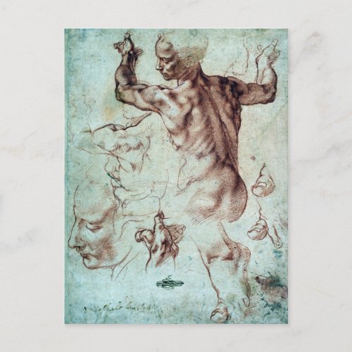 Michelangelo Buonarroti Studies for Libyan Sibyl Postcard