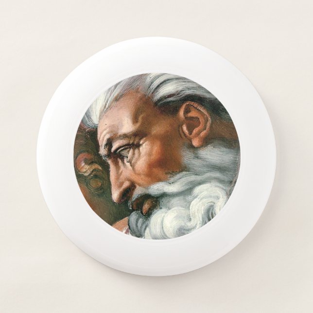 Michelangelo Creation Adam God Art Wham-O Frisbee (Front)
