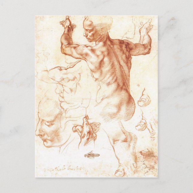 Michelangelo - Libyan Sibyl painting Postcard (Front)