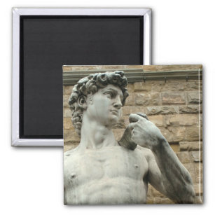 Michelangelo's David 1 Magnet