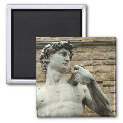 Michelangelos David 1 Magnet