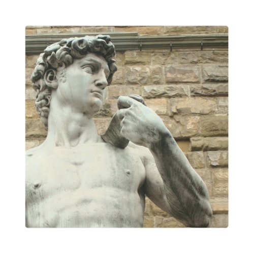 Michelangelos David 1 Metal Print