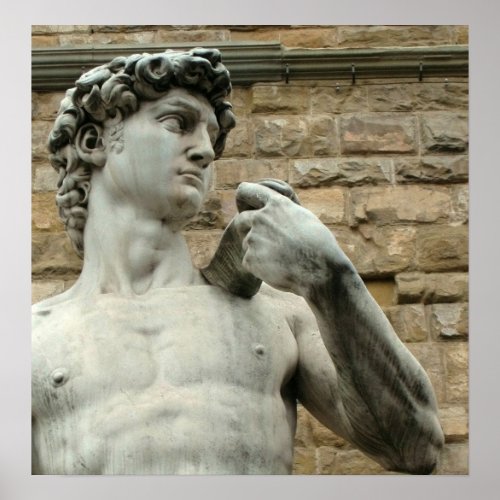 Michelangelos David 1 Poster