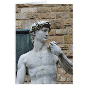 Michelangelo's David Cards