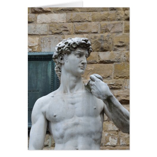 Michelangelo's David Cards (Front)