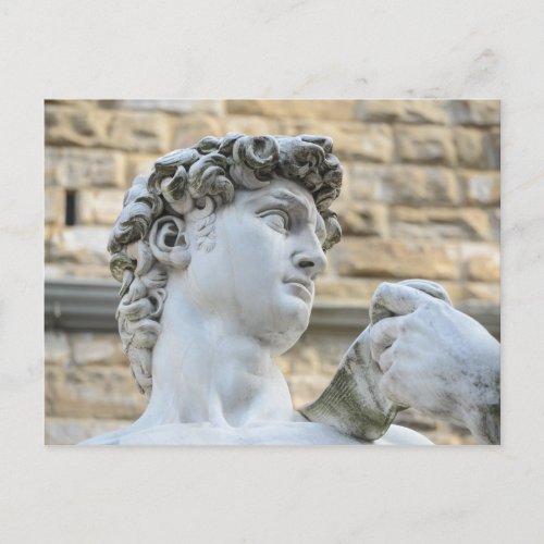 Michelangelos David Florence Italy Postcard
