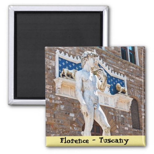Michelangelos David _ Florence Tuscany Italy Magnet
