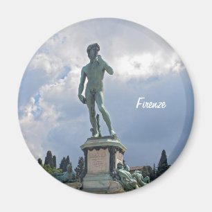 MIchelangelo's David Magnet