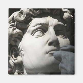Michelangelo's David Magnet