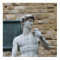 Michelangelo's David
